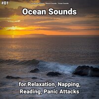 Ocean Sounds Pt. 56 - Sea Waves Sounds & Nature Sounds & Ocean Sounds
