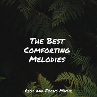Softly Waiting - Ambient Forest & Guided Meditation Music Zone & Reiki Music