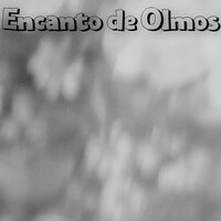 Esquina Calma - Música Religiosa y Curativa