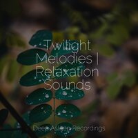 Even Is the Mist - Musique Zen Garden & Calm shores & Baby Sleep Lullaby Academy