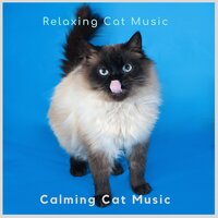 The Cat`s Anti - Stress Jazz - Calming Cat Music