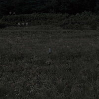 Poem of Autumn - Hana Yu
