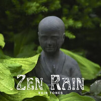 Thunderbolt - Forest Rain FX & The Rain Library & Rain Sounds For Sleep