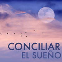 El Sueño (Musica para Dormir Bebes) - Sueño Real