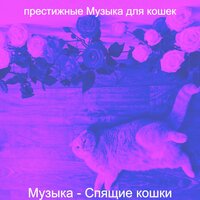 Впечатление (Котята) - престижные Музыка для кошек