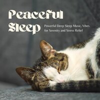 Zen Dreams - Direction Piano
