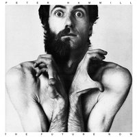 If I Could - Peter Hammill