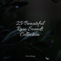 Crackling Campfire - Sounds Of Nature : Thunderstorm & Rain Storm Sample Library & Rainforest Sounds