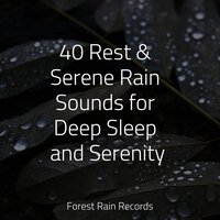 Waves by the Beach - Especialistas de Musica para Dormir & Reiki Music & Trouble Sleeping Music Universe