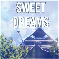 Clear Your Thoughts - Insomnia Cure Music Society