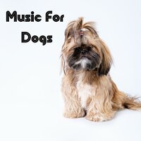 Fantasy Land - Music for Dogs & Music for Dogs Peace & Relaxing Puppy Music & Calm Pets Music Academy