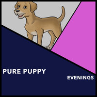 Friendly Wonder - Dogs Music Therapy & Dog's Music & Zen Dog