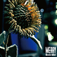 iNtO the mARkeT - Merry