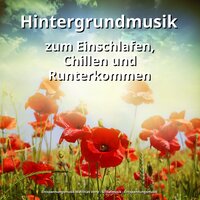 Entspannungsmusik für Wellness - Entspannungsmusik Matthias Veny & Schlafmusik & Entspannungsmusik