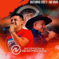 Dança das Gatinhas - Anderson & Vei da Pisadinha