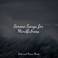 Wind & Water - Avslappning Sound & Hipnose Natureza Sons Coleção & Entspannungsmusik Meer