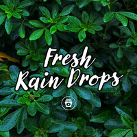 Matured - Rain Sounds