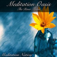 Like Stars Our Eyes Have Seen - Meditation Nation