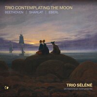 Grand Trio in E-flat Major, Op. 36: IV. Allegretto - Trio Selene