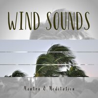 Blowy Storm - Mantra & Meditation