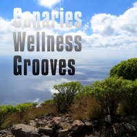 Non Plus Ultra - Chilled But Progressive