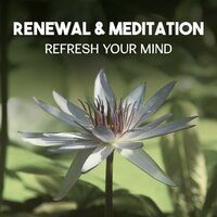 Water Introspection - Spiritual Transformation Music Academy