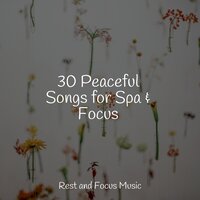 Ambient Bliss - Sleeping Baby Songs & Tonal Meditation Collective & Binaural Beats Brainwave Entrainment