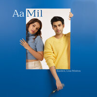 Aa Mil - Zaeden & Lisa Mishra