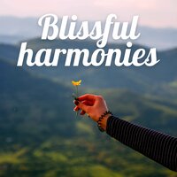 Serene sounds - Calm Sounds & Gentle rhythms & Soothing Music
