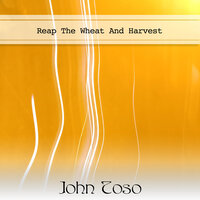 Hollywood Swinging - John Toso