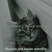 Музыка (Котята) - Музыка для кошек желобок