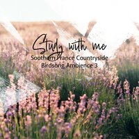 Southern France Countryside Birdsong Ambience, Pt. 14 - Sebastian Riegl