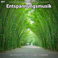 Qigong - Entspannungsmusik Meditationsmusik Einschlafmusik & Schlafmusik & Entspannungsmusik
