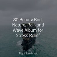 Woods, Dawn, Birds - Asmr Sleep Sounds & It's Raining & Pacific Rim Nature Sounds