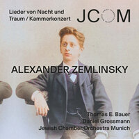Sieben Lieder von Nacht und Traum: VI. Ich geh’ des Nachts - Thomas E. Bauer & DANIEL GROSSMANN & Jewish Chamber Orchestra Munich