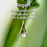 Einschlafhilfe für Erwachsene - Regensounds & Naturgeräusche & Schlafmusik