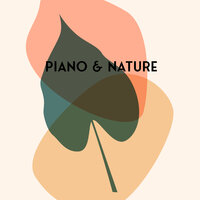 Early Morning with Birds - Instrumental Jazz Music Ambient