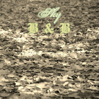 B&B - Sky