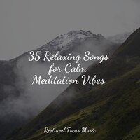 Cool Cacophony - Bedtime Baby & Asian Zen: Spa Music Meditation & Yoga Sounds