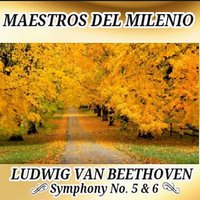 Symphony No. 5 in C Minor, Op. 67: II. Andante con moto - Ludwig van Beethoven & Radio Symphony Orchestra Ljubljana