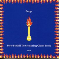 Les Plages Infinies - Peter Scharli Trio & Glenn Ferris