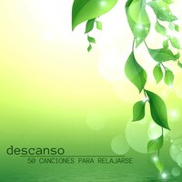 Meditacion de Medianoche - New Age Relajación Science