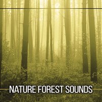 Pure Piano - Relaxing Music Therapy