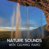 Restful Sleep (Sound of Crickets) - Harmony Nature Sounds Academy