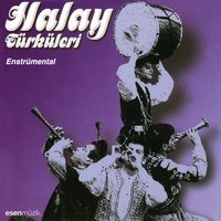 Dağlar Dağladı Beni - Mehmet Erenler