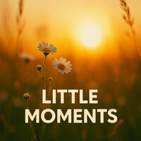 Little Moments - HarmonyHub