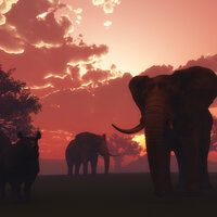 Africa Suspense - BLONDESPHERE