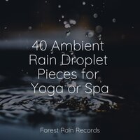 Gentle Rain - Buddhist Meditation Music Set & Relaxation Personal Guru & Meditação Maestro
