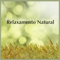 Musica de Flauta de Pan - Notas de Relaxamento