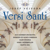 Paraphrase: No. 1, Allegretto - Suk Chamber Orchestra & Karel Untermüller